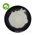 High Quality Probiotics Powder Lactobacillus Paracasei